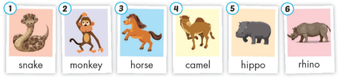 animals